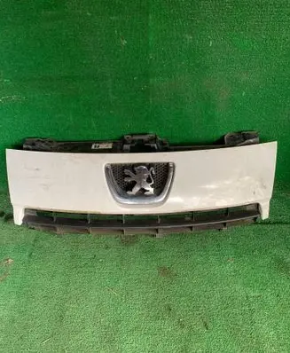 Peugeot Expert Front grill