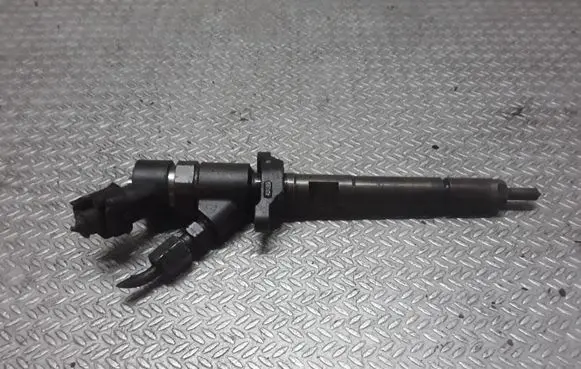 Citroen C5 Fuel injector 0445110188