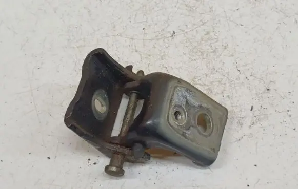 Citroen C5 Rear door lower hinge