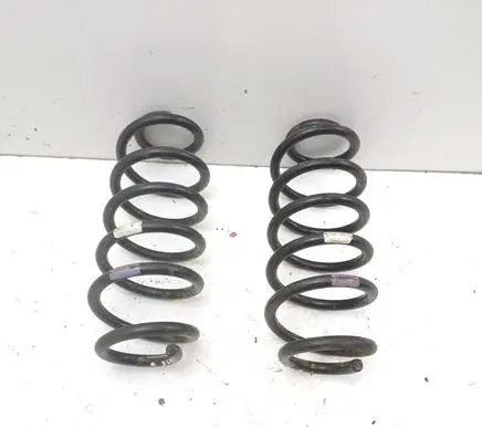 Rear coil spring