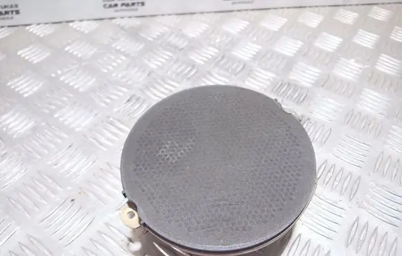 Chrysler Grand Voyager II Front door speaker 4688215