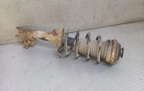 Opel Astra H Front shock absorber with coil spring 22214598