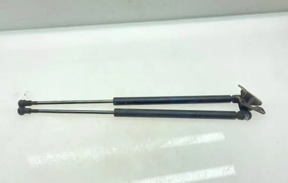 Tailgate strut