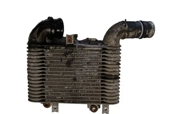 Toyota RAV 4 (XA20) Intercooler radiator