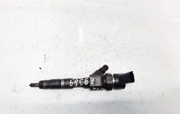 Renault Espace - Grand espace IV Fuel injector 8200100272