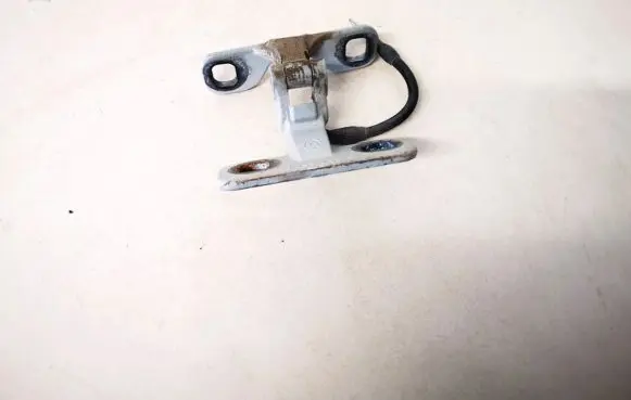 Tailgate/trunk/boot hinge