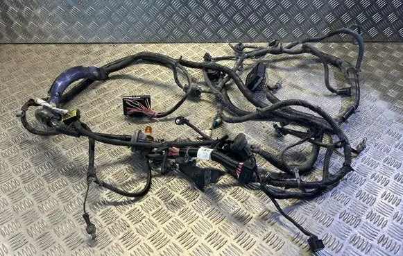 Chevrolet Camaro Other wiring loom 15531005