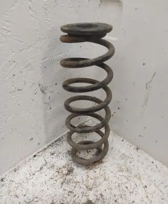 Volkswagen PASSAT B6 Rear coil spring