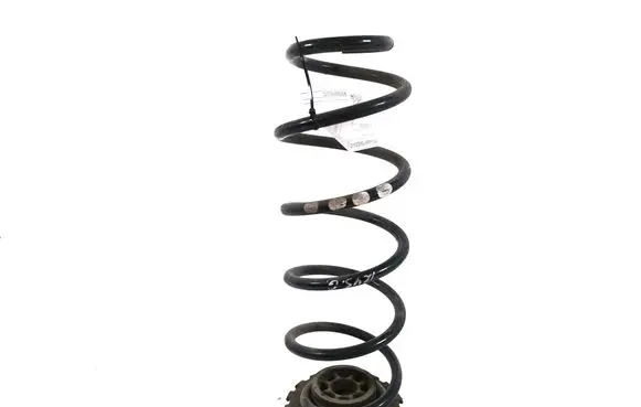 Mercedes-Benz A W169 Rear coil spring A1693241904