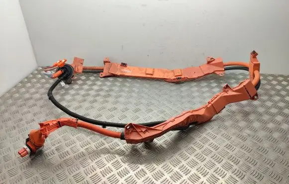 Toyota RAV 4 (XA50) Engine installation wiring loom 821H142010B