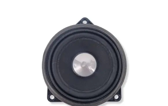 BMW 6 F06 Gran coupe Subwoofer speaker 61928910