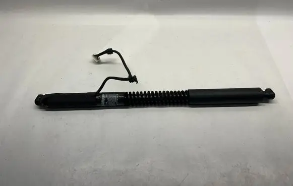 Tesla Model X Rear door lower hinge 106344001D 106344001