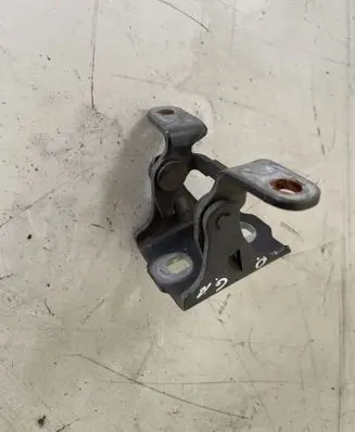 Opel Meriva B Rear door lower hinge 147GQD0E