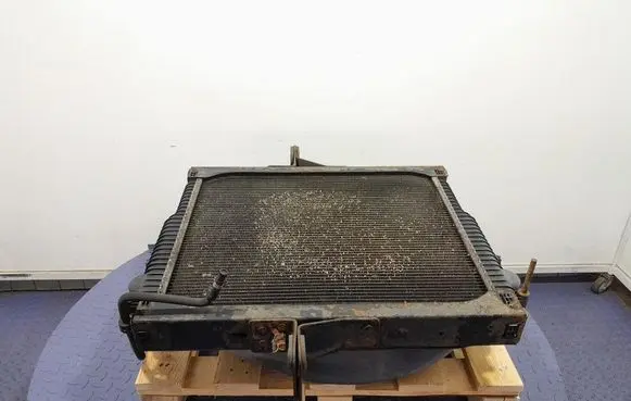 Renault Megane III Coolant radiator 7420809769