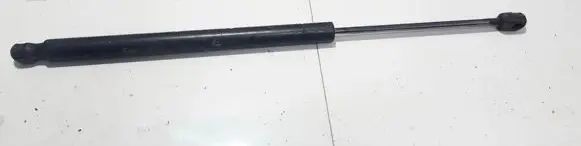 Renault Scenic II - Grand scenic II Tailgate/trunk strut/damper 8200174571