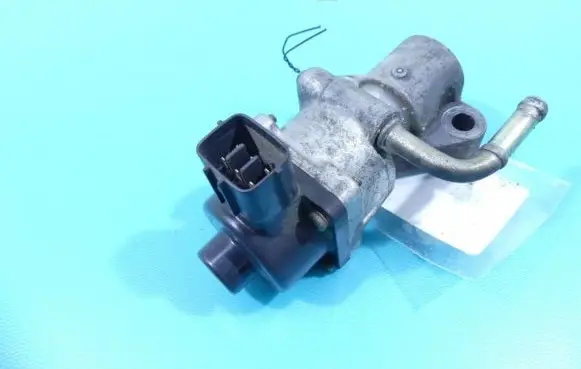EGR valve