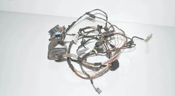 BMW X5 E70 Front door wiring loom 7184660 9242074 63177184660