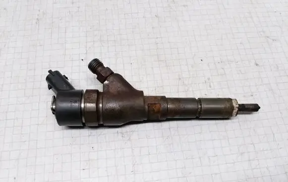 Citroen Xsara Picasso Fuel injector 9641742880