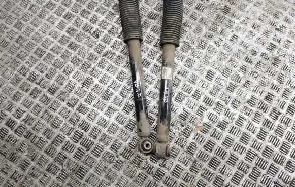 Tesla Model 3 Rear shock absorber/damper 104446102E