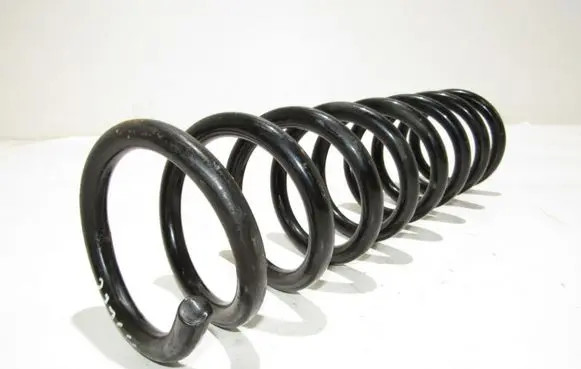 Rear coil spring