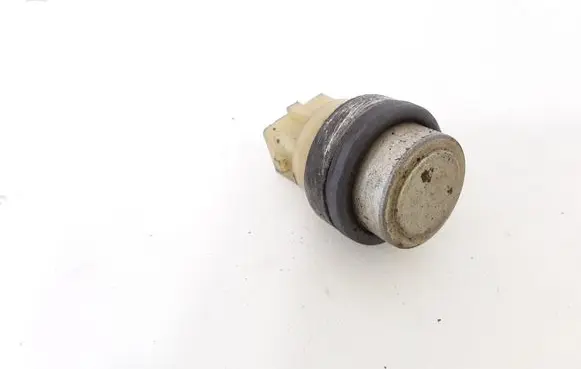 Volkswagen Golf IV Coolant temperature sensor 191919369A