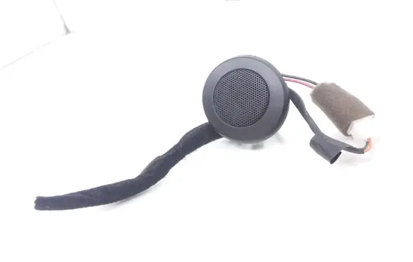Front door high frequency speaker