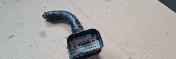 Chrysler Pacifica Other wiring loom