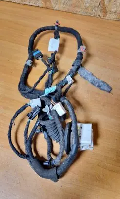 Chevrolet Epica Front door wiring loom 850088