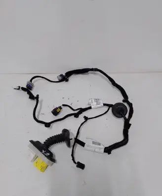 Front door wiring loom