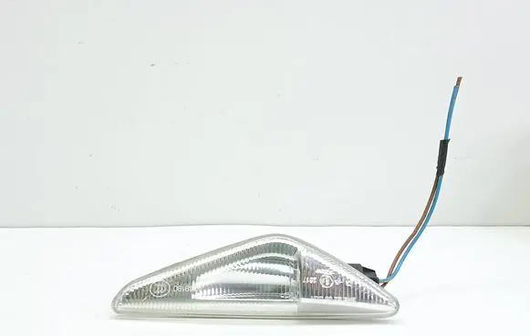 BMW X5 E70 Front fender indicator light 7171007