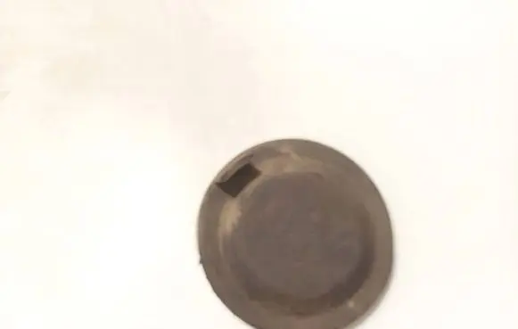 Headlight/headlamp dust cover