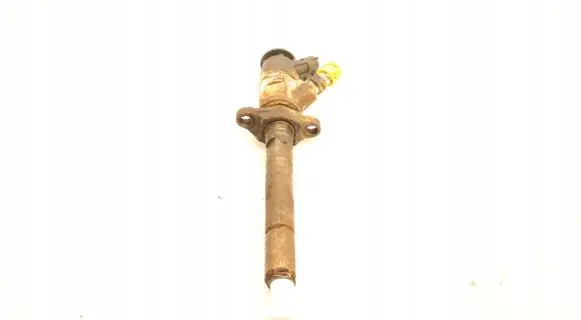 Peugeot Partner Fuel injector 0445110311