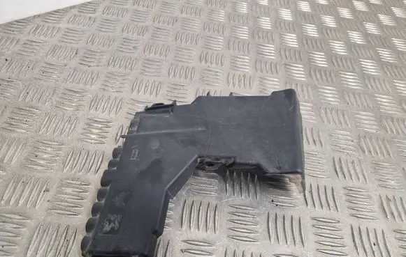 Citroen DS5 Fuse box cover 9666817180