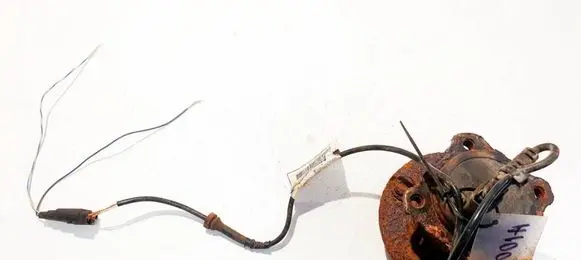 Other wiring loom