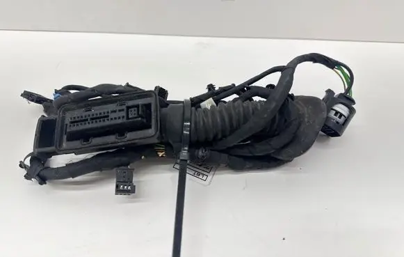 BMW 4 F36 Gran coupe Rear door wiring loom 9325915