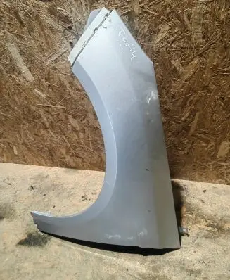 Ford Focus Fender