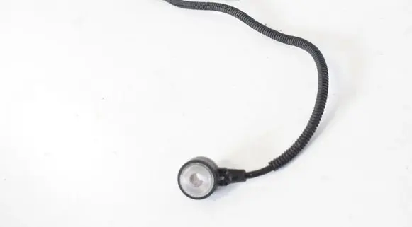 Seat Leon (5F) Detonation knock sensor 06K905377