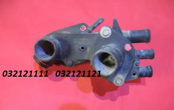 Thermostat/thermostat housing