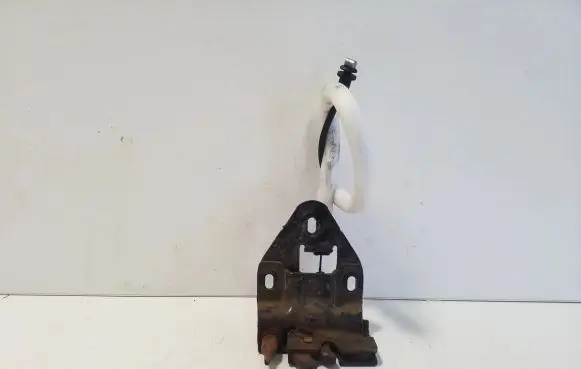 Renault Trafic III (X82) Loading door lock 