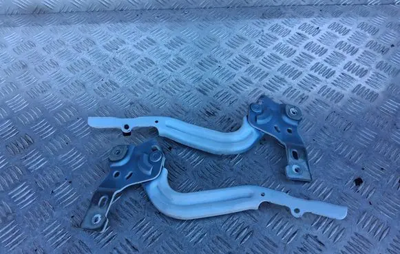 Engine bonnet/hood hinges