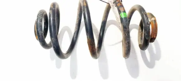 Volkswagen PASSAT B5.5 Rear coil spring