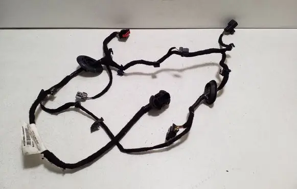 Polestar 2 Rear door wiring loom 33825472
