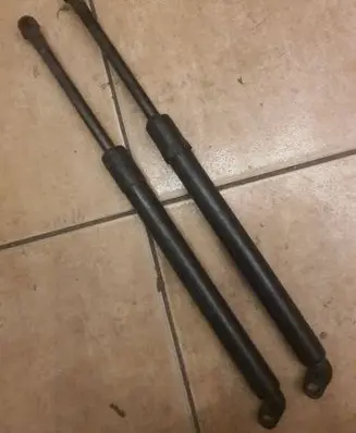 Tailgate/trunk strut/damper