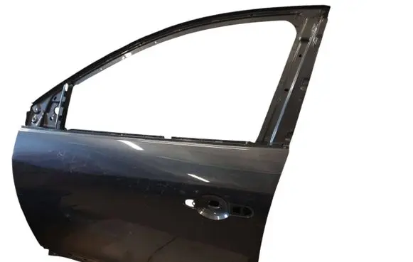 Renault Megane III Front door