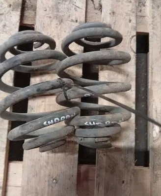 Rear coil spring
