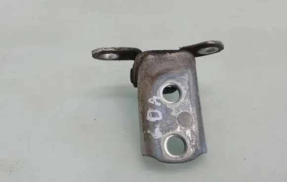 Rear door lower hinge