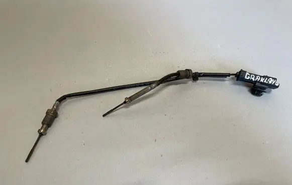 Opel Grandland X Exhaust gas temperature sensor 98083120