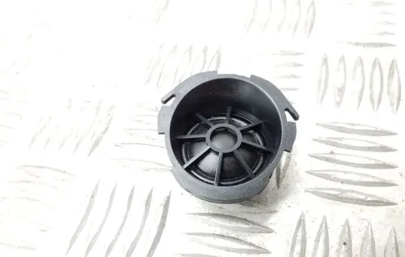 Front door high frequency speaker