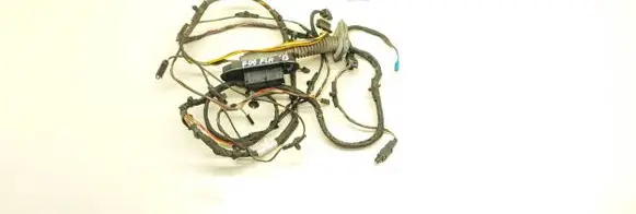 BMW 6 F06 Gran coupe Front door wiring loom 9255406 4231862
