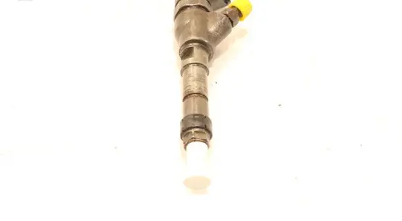 Citroen Berlingo Fuel injector 9640895380
